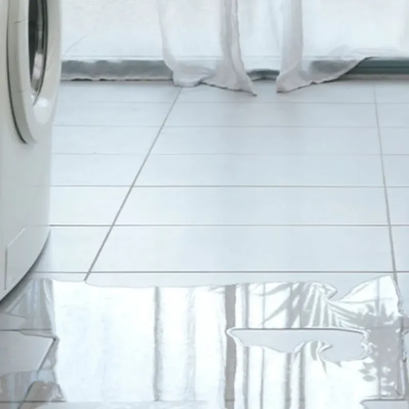 Appliance Leak Cleanup in River Park, FL